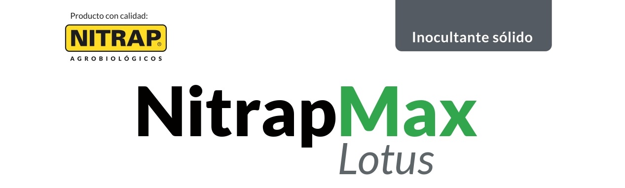 Nitrap Max Lotus